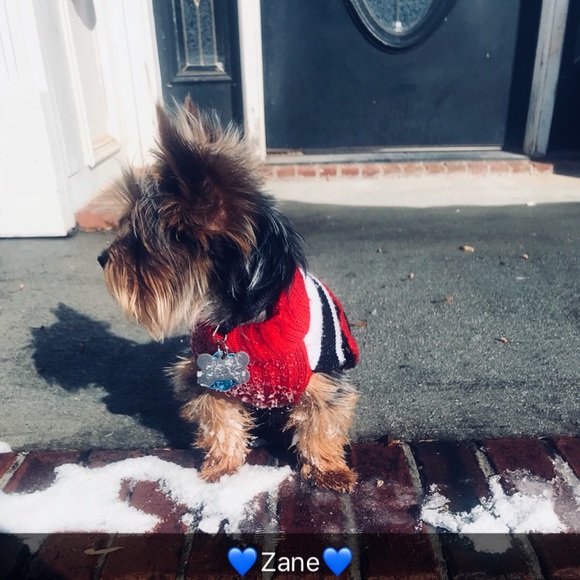 zanedb